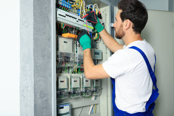 Best Electrical Repair Services  in Fenton, MI