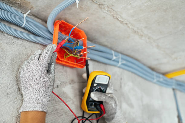 Best Outdoor Lighting Installation  in Fenton, MI